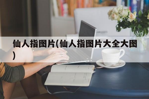 仙人指图片(仙人指图片大全大图)