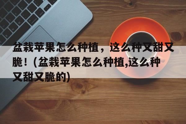 盆栽苹果怎么种植，这么种又甜又脆！(盆栽苹果怎么种植,这么种又甜又脆的)