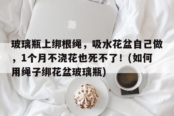 玻璃瓶上绑根绳，吸水花盆自己做，1个月不浇花也死不了！(如何用绳子绑花盆玻璃瓶)