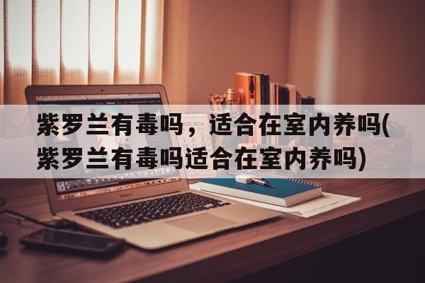 紫罗兰有毒吗，适合在室内养吗(紫罗兰有毒吗适合在室内养吗)