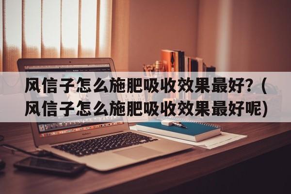 风信子怎么施肥吸收效果最好？(风信子怎么施肥吸收效果最好呢)