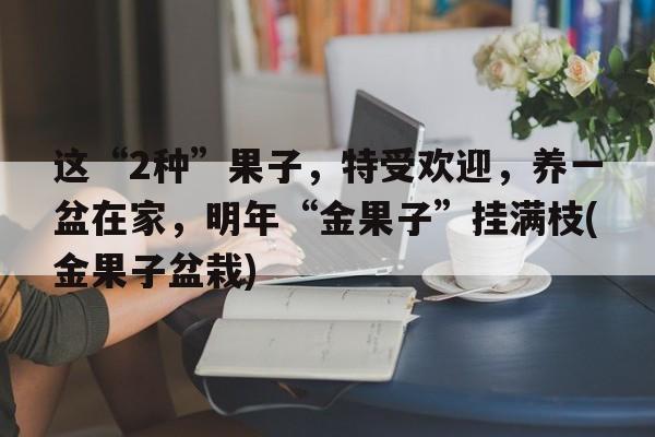 这“2种”果子，特受欢迎，养一盆在家，明年“金果子”挂满枝(金果子盆栽)