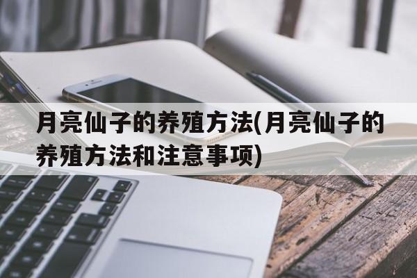 月亮仙子的养殖方法(月亮仙子的养殖方法和注意事项)