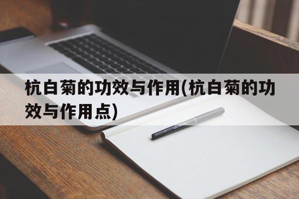 杭白菊的功效与作用(杭白菊的功效与作用点)