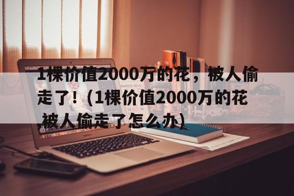 1棵价值2000万的花，被人偷走了！(1棵价值2000万的花,被人偷走了怎么办)