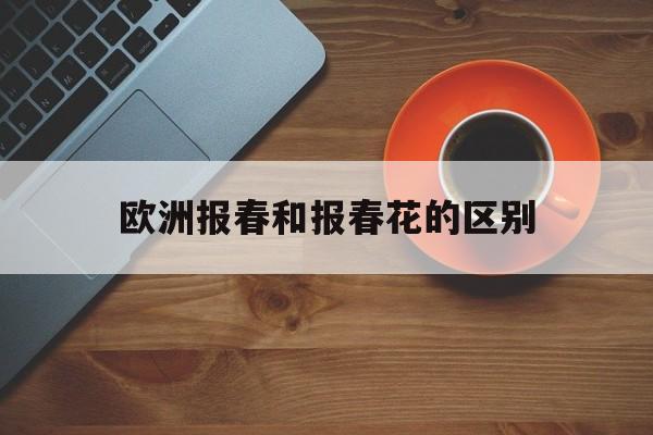 欧洲报春和报春花的区别