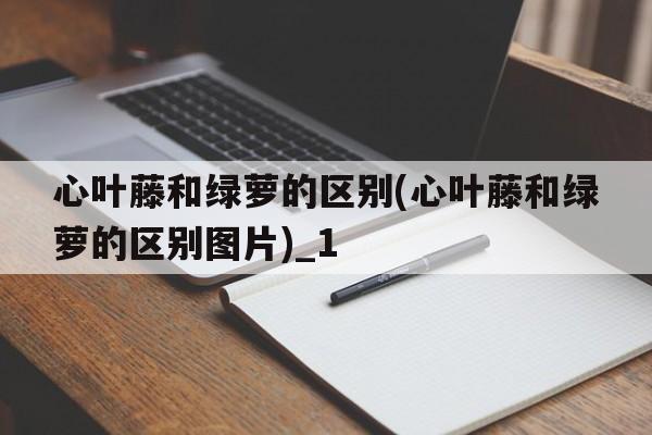 心叶藤和绿萝的区别(心叶藤和绿萝的区别图片)_1