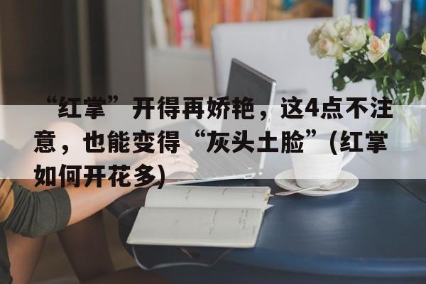 “红掌”开得再娇艳，这4点不注意，也能变得“灰头土脸”(红掌如何开花多)