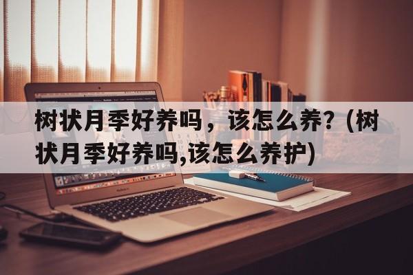 树状月季好养吗，该怎么养？(树状月季好养吗,该怎么养护)