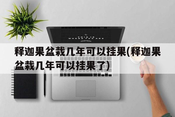 释迦果盆栽几年可以挂果(释迦果盆栽几年可以挂果了)