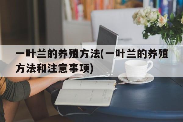 一叶兰的养殖方法(一叶兰的养殖方法和注意事项)