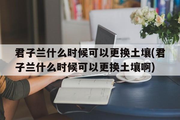 君子兰什么时候可以更换土壤(君子兰什么时候可以更换土壤啊)