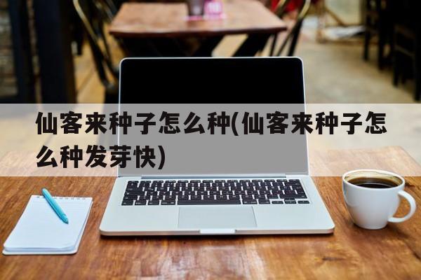 仙客来种子怎么种(仙客来种子怎么种发芽快)