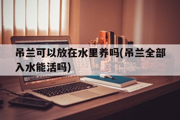 吊兰可以放在水里养吗(吊兰全部入水能活吗)