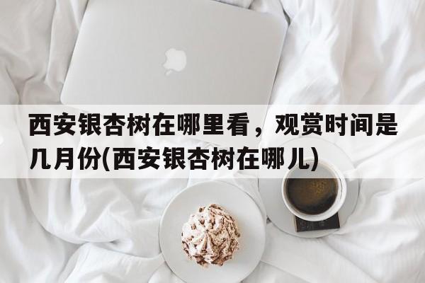 西安银杏树在哪里看，观赏时间是几月份(西安银杏树在哪儿)