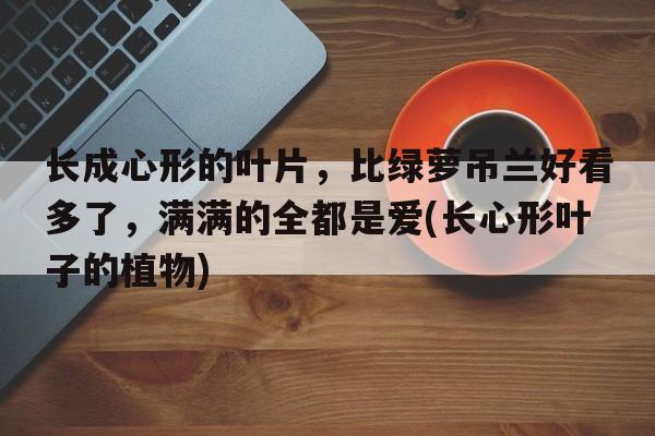 长成心形的叶片，比绿萝吊兰好看多了，满满的全都是爱(长心形叶子的植物)