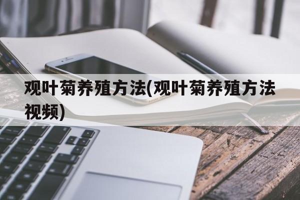 观叶菊养殖方法(观叶菊养殖方法视频)