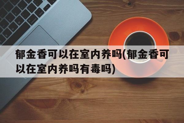 郁金香可以在室内养吗(郁金香可以在室内养吗有毒吗)