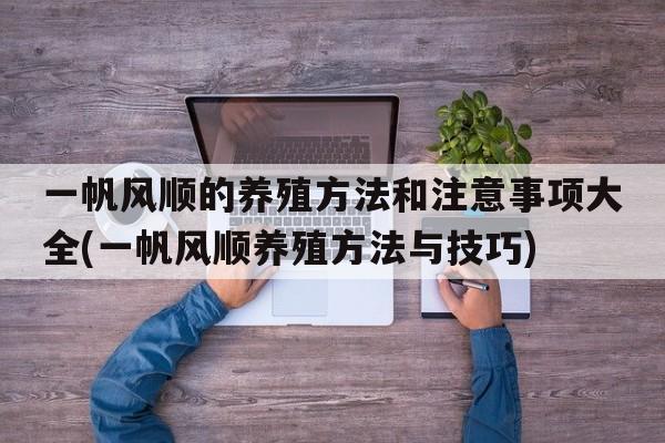 一帆风顺的养殖方法和注意事项大全(一帆风顺养殖方法与技巧)