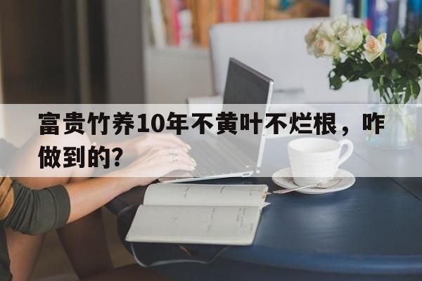 富贵竹养10年不黄叶不烂根，咋做到的？