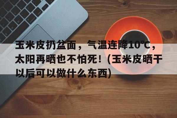 玉米皮扔盆面，气温连降10℃，太阳再晒也不怕死！(玉米皮晒干以后可以做什么东西)