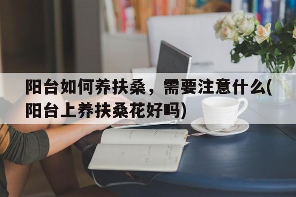 阳台如何养扶桑，需要注意什么(阳台上养扶桑花好吗)