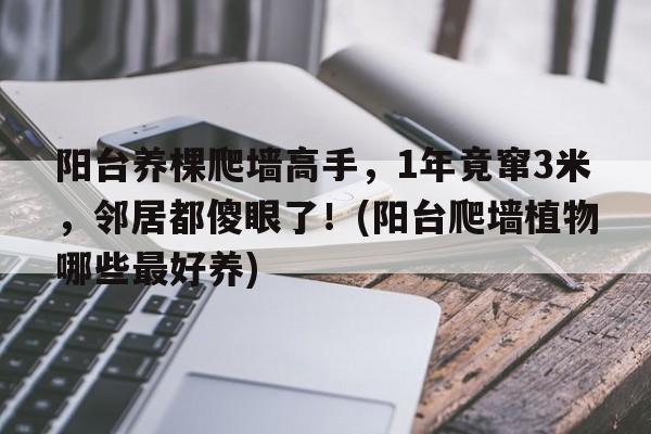 阳台养棵爬墙高手，1年竟窜3米，邻居都傻眼了！(阳台爬墙植物哪些最好养)