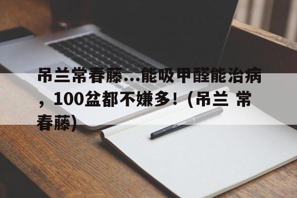 吊兰常春藤...能吸甲醛能治病，100盆都不嫌多！(吊兰 常春藤)