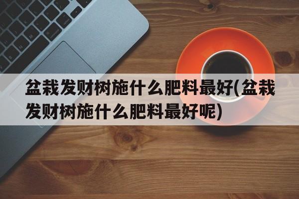 盆栽发财树施什么肥料最好(盆栽发财树施什么肥料最好呢)