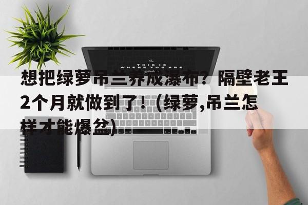 想把绿萝吊兰养成瀑布？隔壁老王2个月就做到了！(绿萝,吊兰怎样才能爆盆)