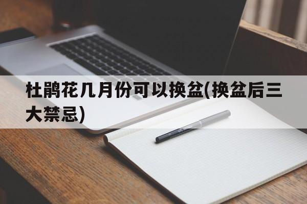 杜鹃花几月份可以换盆(换盆后三大禁忌)