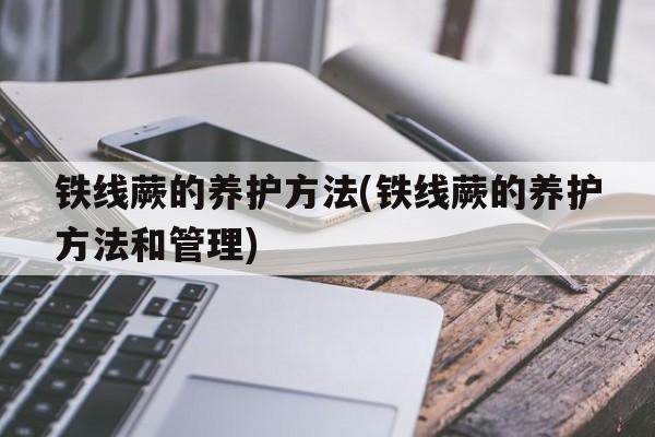 铁线蕨的养护方法(铁线蕨的养护方法和管理)