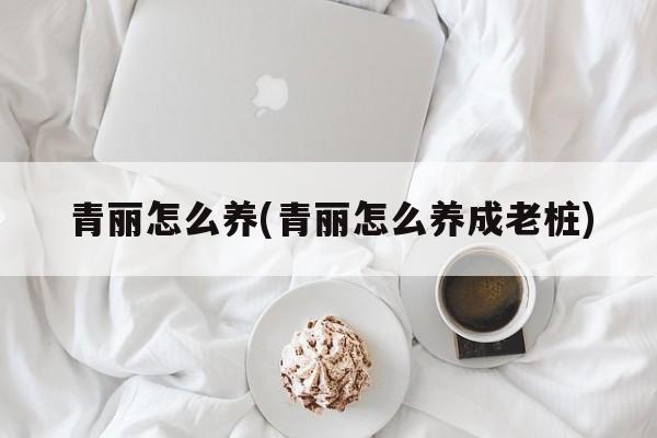 青丽怎么养(青丽怎么养成老桩)