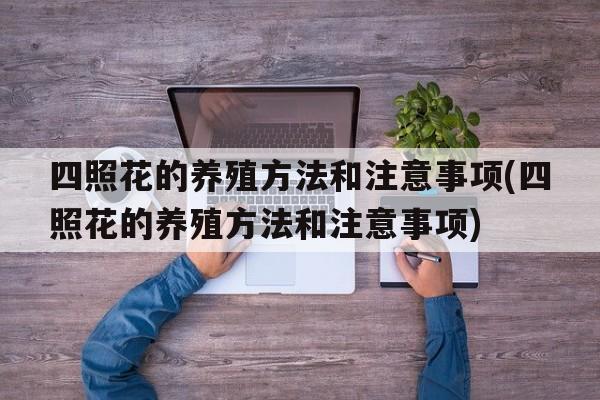 四照花的养殖方法和注意事项(四照花的养殖方法和注意事项)