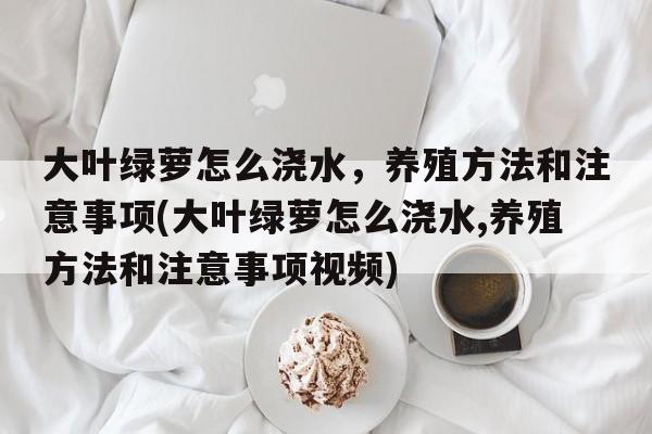 大叶绿萝怎么浇水，养殖方法和注意事项(大叶绿萝怎么浇水,养殖方法和注意事项视频)