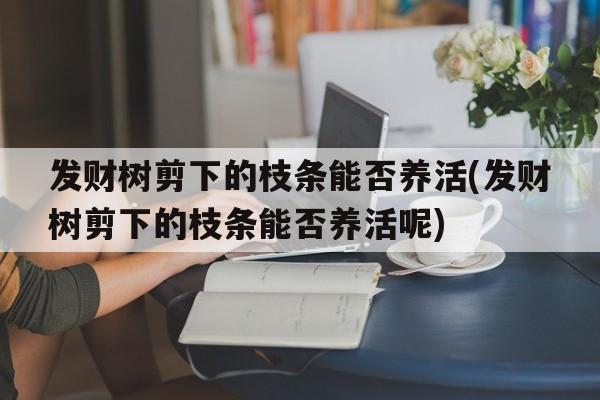 发财树剪下的枝条能否养活(发财树剪下的枝条能否养活呢)