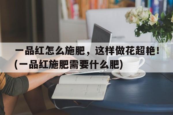 一品红怎么施肥，这样做花超艳！(一品红施肥需要什么肥)