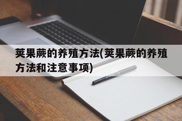 荚果蕨的养殖方法(荚果蕨的养殖方法和注意事项)