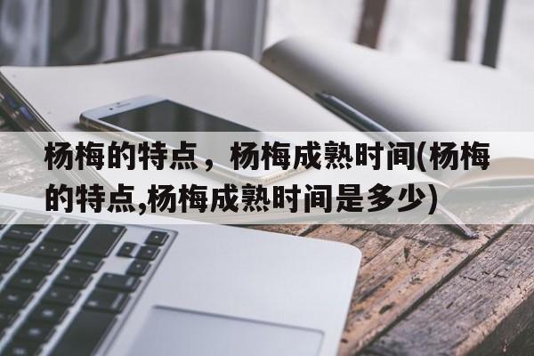 杨梅的特点，杨梅成熟时间(杨梅的特点,杨梅成熟时间是多少)