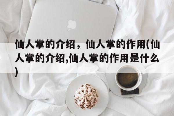 仙人掌的介绍，仙人掌的作用(仙人掌的介绍,仙人掌的作用是什么)