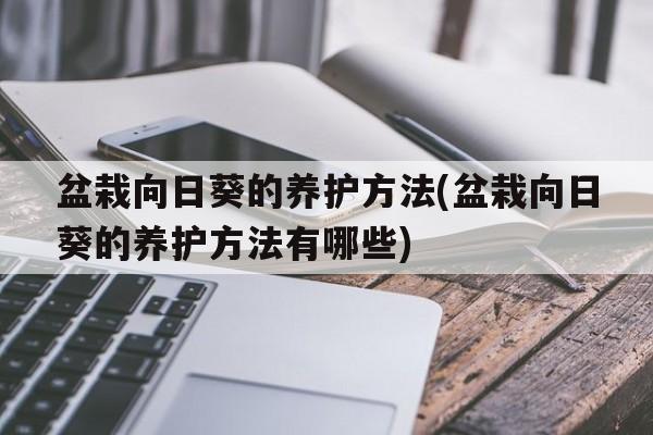 盆栽向日葵的养护方法(盆栽向日葵的养护方法有哪些)