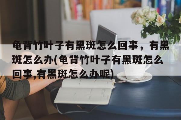 龟背竹叶子有黑斑怎么回事，有黑斑怎么办(龟背竹叶子有黑斑怎么回事,有黑斑怎么办呢)