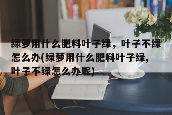 绿萝用什么肥料叶子绿，叶子不绿怎么办(绿萝用什么肥料叶子绿,叶子不绿怎么办呢)