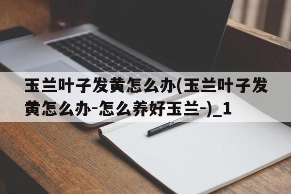 玉兰叶子发黄怎么办(玉兰叶子发黄怎么办-怎么养好玉兰-)_1