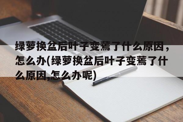 绿萝换盆后叶子变蔫了什么原因，怎么办(绿萝换盆后叶子变蔫了什么原因,怎么办呢)