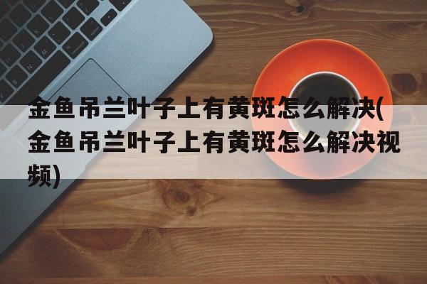 金鱼吊兰叶子上有黄斑怎么解决(金鱼吊兰叶子上有黄斑怎么解决视频)