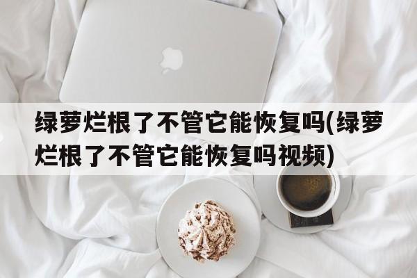 绿萝烂根了不管它能恢复吗(绿萝烂根了不管它能恢复吗视频)