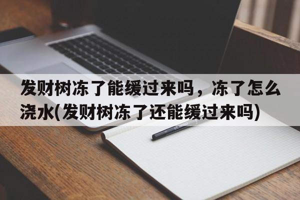 发财树冻了能缓过来吗，冻了怎么浇水(发财树冻了还能缓过来吗)