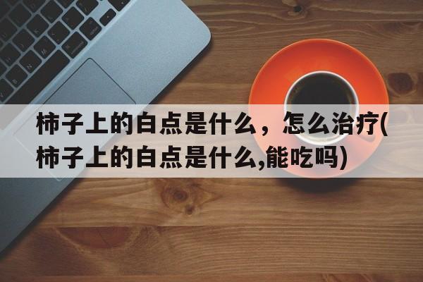 柿子上的白点是什么，怎么治疗(柿子上的白点是什么,能吃吗)