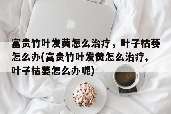 富贵竹叶发黄怎么治疗，叶子枯萎怎么办(富贵竹叶发黄怎么治疗,叶子枯萎怎么办呢)